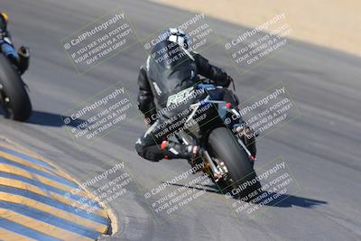 media/Nov-12-2023-SoCal Trackdays (Sun) [[5d1fba4e7d]]/Turn 10 Backside (115pm)/